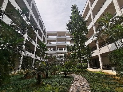 工厂照片_(3)