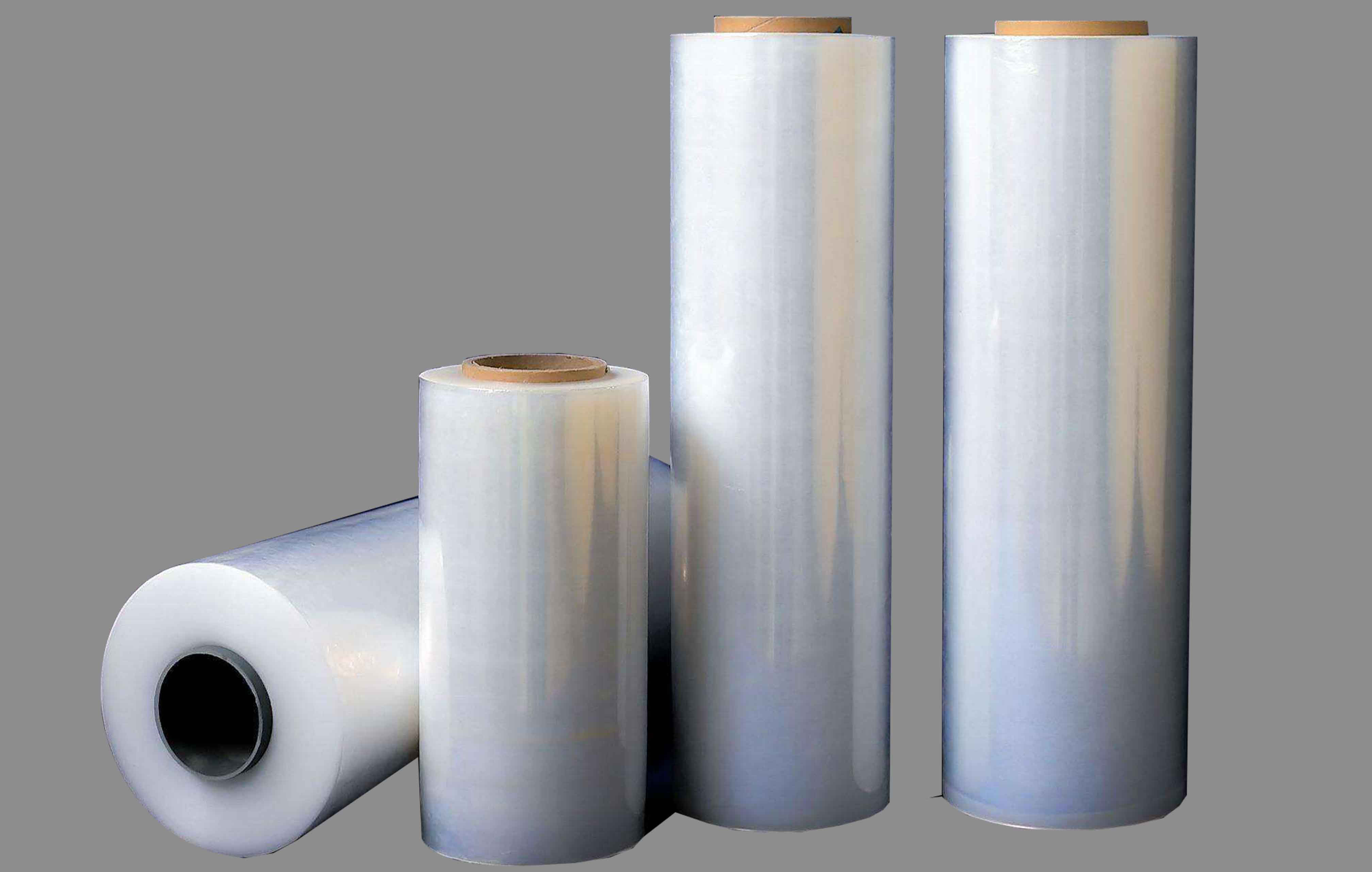 期间股价上涨了29.36%